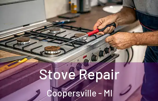  Stove Repair Coopersville - MI