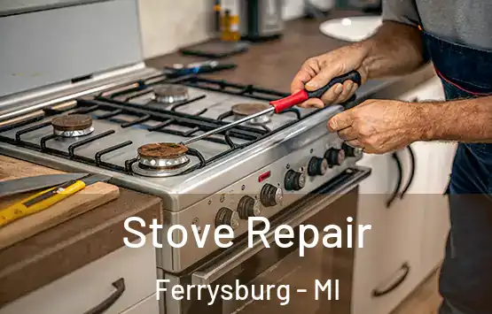  Stove Repair Ferrysburg - MI