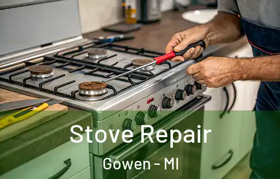  Stove Repair Gowen - MI