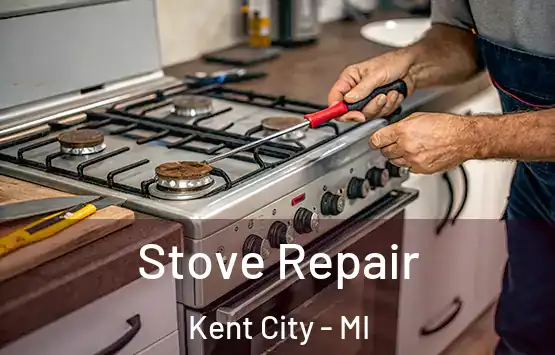  Stove Repair Kent City - MI