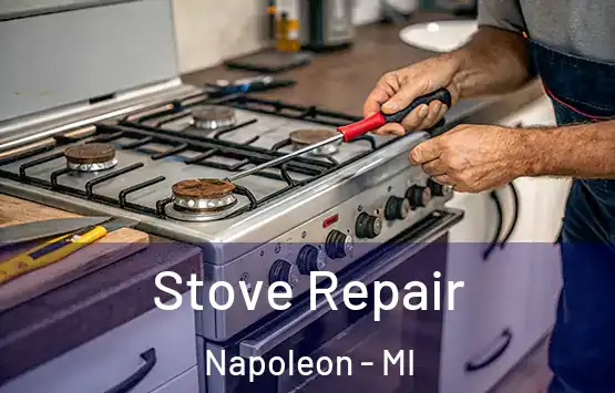 Stove Repair Napoleon - MI