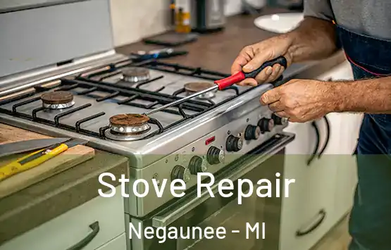  Stove Repair Negaunee - MI