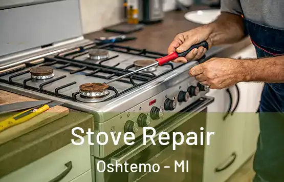  Stove Repair Oshtemo - MI