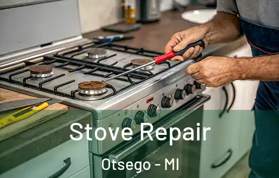  Stove Repair Otsego - MI
