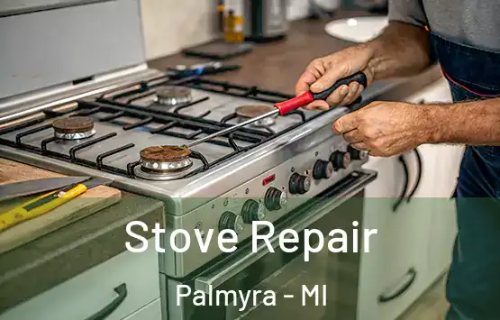  Stove Repair Palmyra - MI