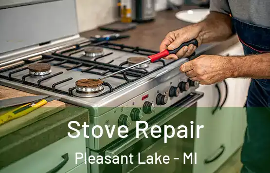  Stove Repair Pleasant Lake - MI