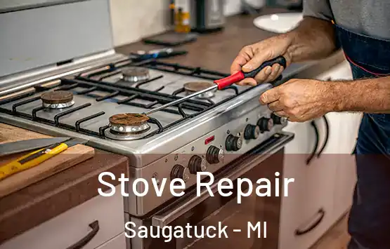  Stove Repair Saugatuck - MI