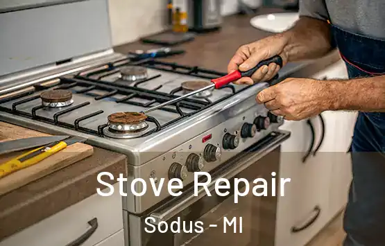  Stove Repair Sodus - MI