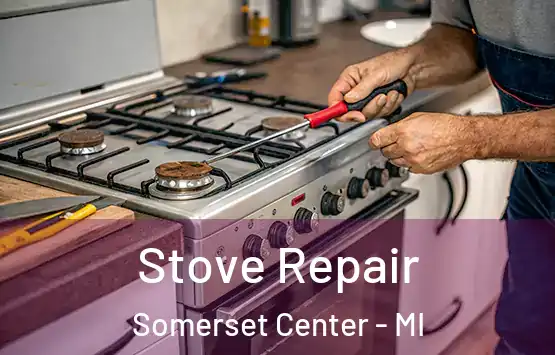  Stove Repair Somerset Center - MI