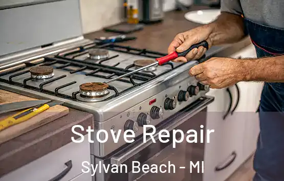  Stove Repair Sylvan Beach - MI