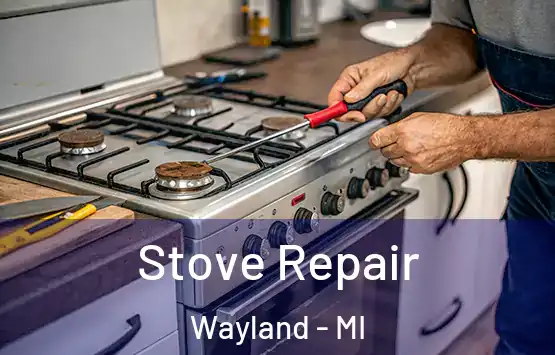  Stove Repair Wayland - MI
