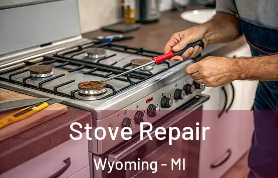  Stove Repair Wyoming - MI