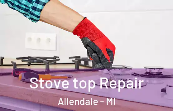  Stove top Repair Allendale - MI
