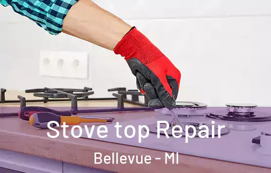  Stove top Repair Bellevue - MI