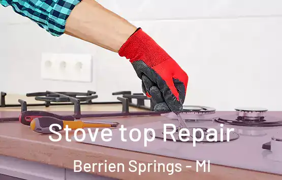  Stove top Repair Berrien Springs - MI