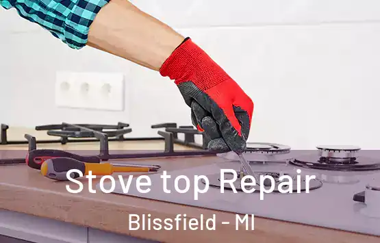  Stove top Repair Blissfield - MI
