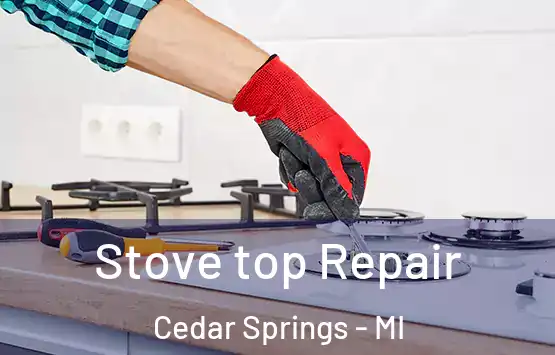  Stove top Repair Cedar Springs - MI