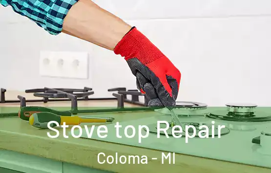  Stove top Repair Coloma - MI