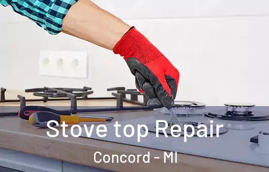  Stove top Repair Concord - MI