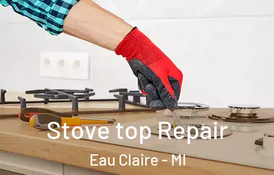  Stove top Repair Eau Claire - MI