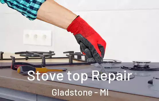  Stove top Repair Gladstone - MI