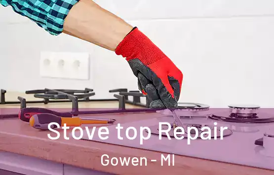  Stove top Repair Gowen - MI
