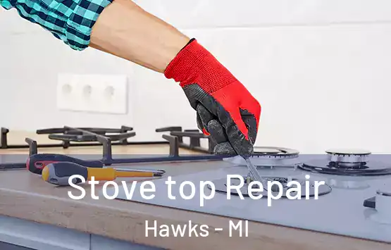  Stove top Repair Hawks - MI