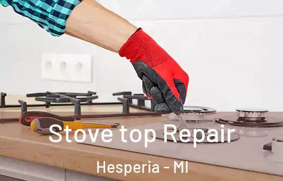  Stove top Repair Hesperia - MI