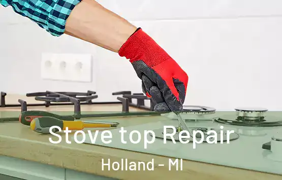  Stove top Repair Holland - MI