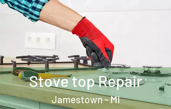  Stove top Repair Jamestown - MI