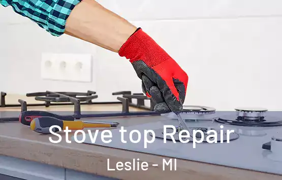  Stove top Repair Leslie - MI