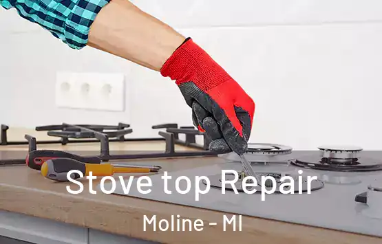  Stove top Repair Moline - MI