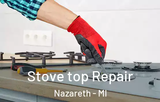  Stove top Repair Nazareth - MI
