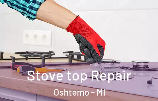  Stove top Repair Oshtemo - MI