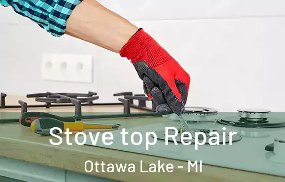  Stove top Repair Ottawa Lake - MI