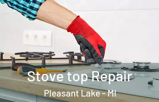 Stove top Repair Pleasant Lake - MI