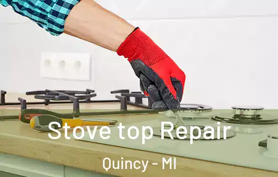  Stove top Repair Quincy - MI
