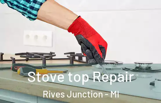  Stove top Repair Rives Junction - MI