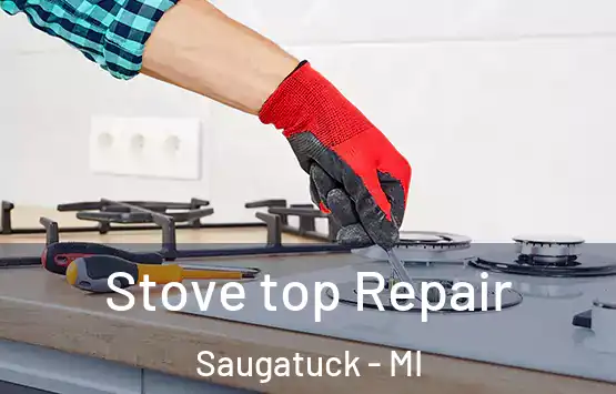  Stove top Repair Saugatuck - MI
