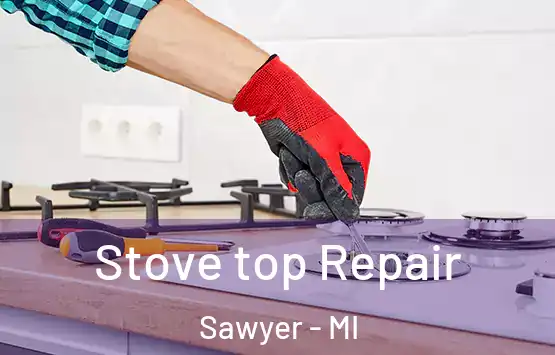  Stove top Repair Sawyer - MI