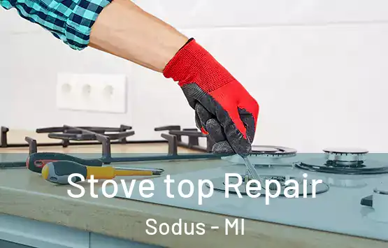  Stove top Repair Sodus - MI