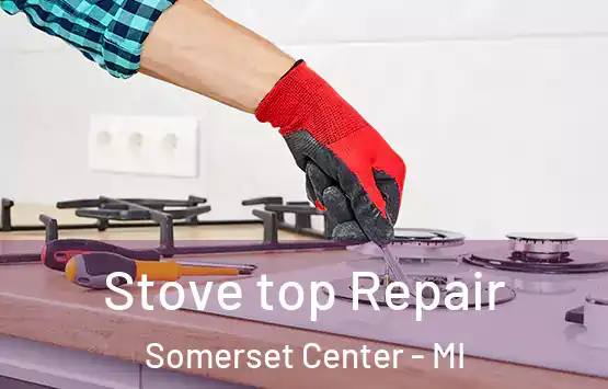  Stove top Repair Somerset Center - MI