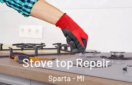  Stove top Repair Sparta - MI