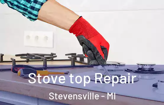  Stove top Repair Stevensville - MI