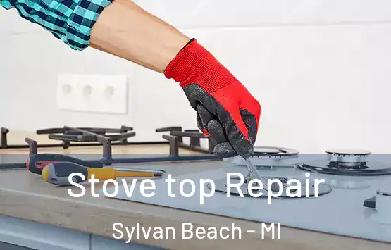  Stove top Repair Sylvan Beach - MI