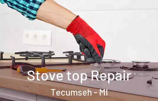 Stove top Repair Tecumseh - MI