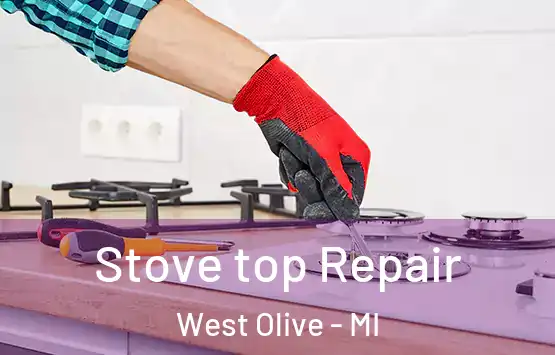  Stove top Repair West Olive - MI