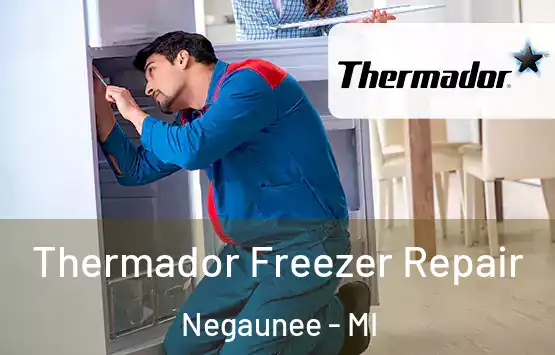  Thermador Freezer Repair Negaunee - MI