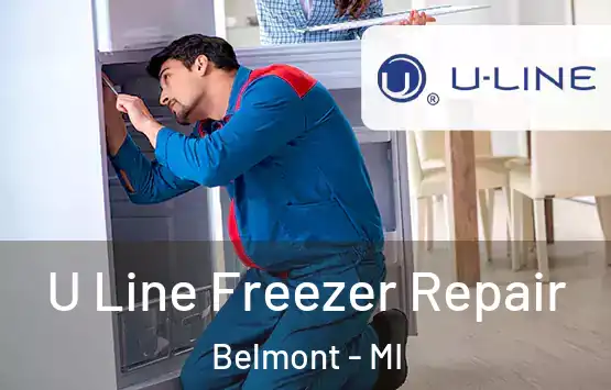  U Line Freezer Repair Belmont - MI