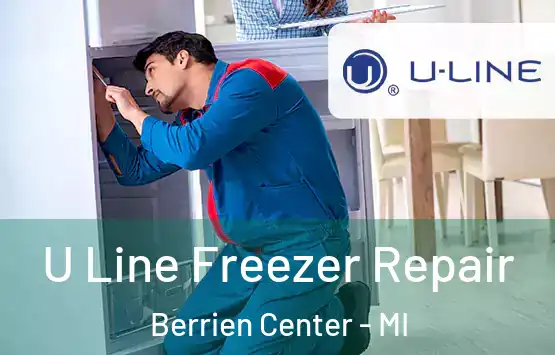  U Line Freezer Repair Berrien Center - MI